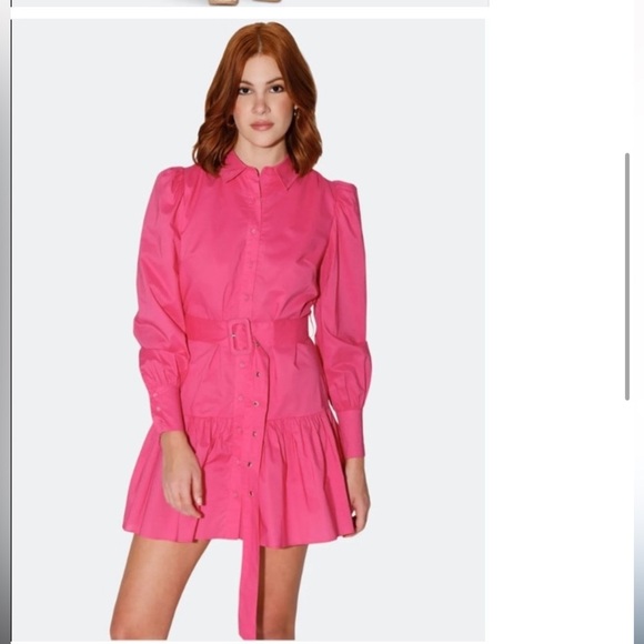 Walter Baker Dresses & Skirts - Walter Baker Hot Pink Button-Front Belted Shirt Dress